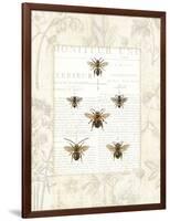 Bee Botanical-Sue Schlabach-Framed Art Print