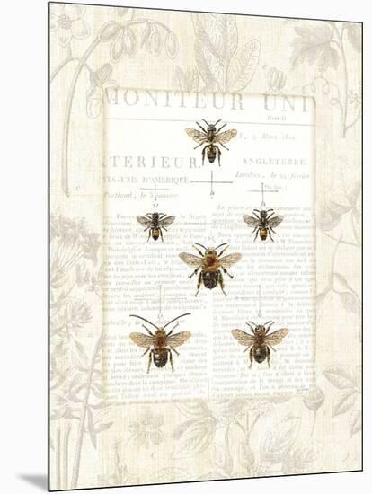 Bee Botanical-Sue Schlabach-Mounted Art Print