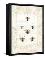 Bee Botanical-Sue Schlabach-Framed Stretched Canvas