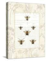 Bee Botanical-Sue Schlabach-Stretched Canvas