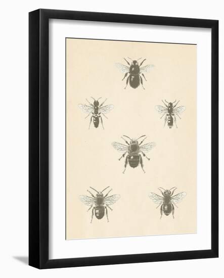 Bee Chart I-Wild Apple Portfolio-Framed Art Print