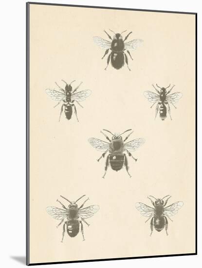 Bee Chart I-Wild Apple Portfolio-Mounted Art Print