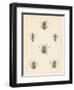 Bee Chart I-Wild Apple Portfolio-Framed Art Print