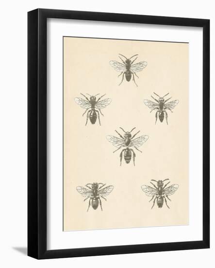 Bee Chart II-Wild Apple Portfolio-Framed Art Print