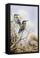 Bee-Eaters-Carl Donner-Framed Stretched Canvas
