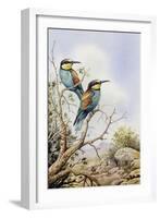 Bee-Eaters-Carl Donner-Framed Giclee Print