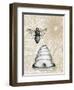 Bee Hives I-Elizabeth Medley-Framed Art Print