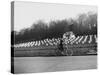 Bee Hives Near Welwyn-null-Stretched Canvas