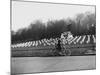 Bee Hives Near Welwyn-null-Mounted Photographic Print