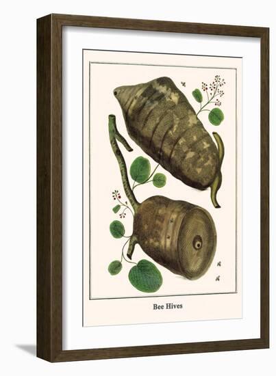 Bee Hives-Albertus Seba-Framed Art Print