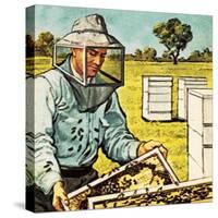 Bee Keeper-English School-Stretched Canvas