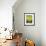 Bee lands on dandelion-Benjamin Engler-Framed Photographic Print displayed on a wall