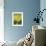 Bee lands on dandelion-Benjamin Engler-Framed Photographic Print displayed on a wall