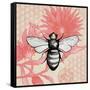 Bee on Pink Flower Square-Elizabeth Medley-Framed Stretched Canvas