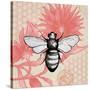 Bee on Pink Flower Square-Elizabeth Medley-Stretched Canvas