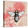 Bee on Pink Flower Square-Elizabeth Medley-Stretched Canvas