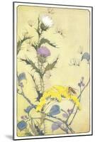 Bee on Thistle-null-Mounted Art Print