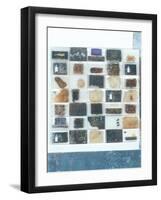 Bee Resin Casts-Charlie Millar-Framed Giclee Print