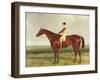 Bee's Wing', C.1840-45-Harry Hall-Framed Giclee Print