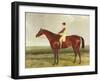 Bee's Wing', C.1840-45-Harry Hall-Framed Giclee Print