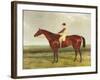 Bee's Wing-Harry Hall-Framed Giclee Print