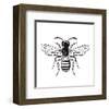 Bee-Clara Wells-Framed Art Print