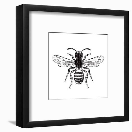 Bee-Clara Wells-Framed Art Print