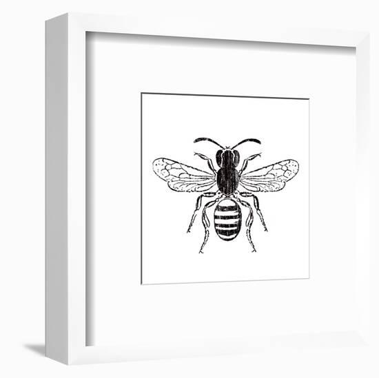 Bee-Clara Wells-Framed Art Print