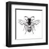 Bee-Clara Wells-Framed Art Print