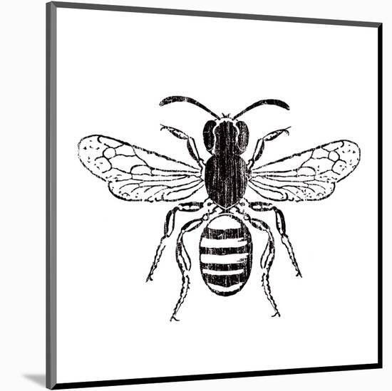 Bee-Clara Wells-Mounted Art Print