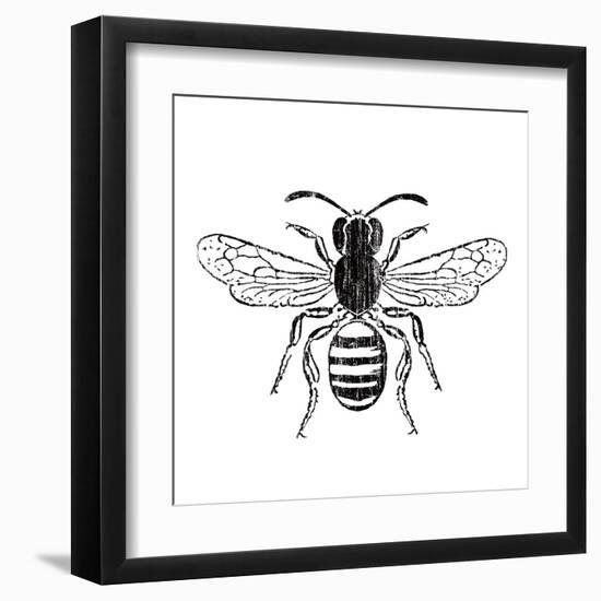 Bee-Clara Wells-Framed Giclee Print