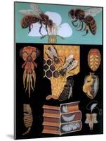 Bee-null-Mounted Premium Giclee Print