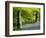 Beech and Bluebell Woodland at Lanhydrock, Cornwall, UK-Ross Hoddinott-Framed Photographic Print