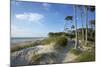 Beech Forest and Dunes on the Western Beach of Darss Peninsula-Uwe Steffens-Mounted Photographic Print