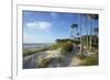 Beech Forest and Dunes on the Western Beach of Darss Peninsula-Uwe Steffens-Framed Photographic Print