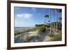 Beech Forest and Dunes on the Western Beach of Darss Peninsula-Uwe Steffens-Framed Photographic Print