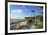 Beech Forest and Dunes on the Western Beach of Darss Peninsula-Uwe Steffens-Framed Photographic Print