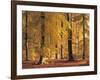 Beech Forest, Autumn-Thonig-Framed Photographic Print