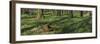 Beech Forest, Fagus Sylvatica, Wood Anemones, Anemone Nemorosa, Spring-Andreas Keil-Framed Photographic Print