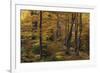 Beech Forest in Autumn, Piatra Craiului National Park, Southern Carpathian Mountains, Romania-Dörr-Framed Photographic Print