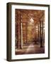 Beech Forest, Way, Autumn-Thonig-Framed Photographic Print