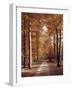 Beech Forest, Way, Autumn-Thonig-Framed Photographic Print