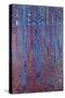 Beech Forest-Gustav Klimt-Stretched Canvas