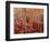 Beech forest-Marco Carmassi-Framed Photographic Print