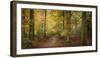 Beech Glade II-Bill Philip-Framed Giclee Print