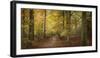 Beech Glade II-Bill Philip-Framed Giclee Print