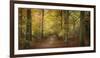 Beech Glade II-Bill Philip-Framed Giclee Print