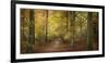 Beech Glade II-Bill Philip-Framed Giclee Print