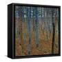 Beech Grove I-Gustav Klimt-Framed Stretched Canvas