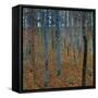 Beech Grove I-Gustav Klimt-Framed Stretched Canvas